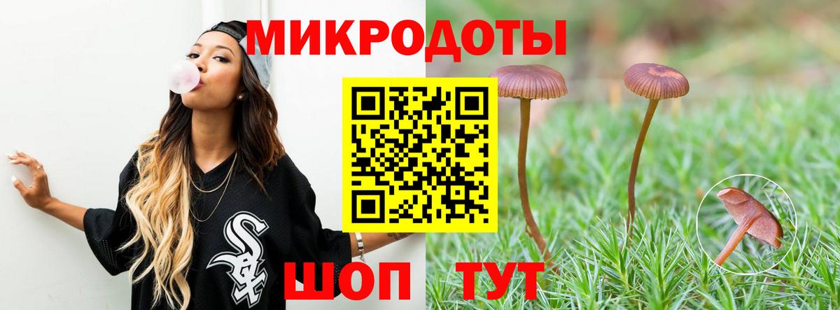 Псилоцибиновые грибы Magic Shrooms Котовск
